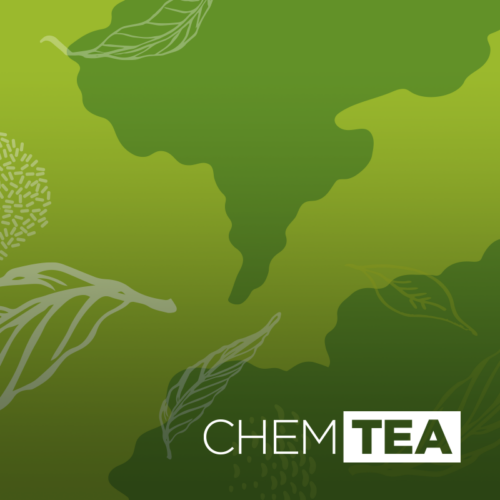 ChemTea is committed to supporting, connecting, and promoting Asian and Pacific Islander talent at Chemonics to grow as a community, foster intersections and connections, advance development and leadership, and increase cultural awareness internally and externally. 