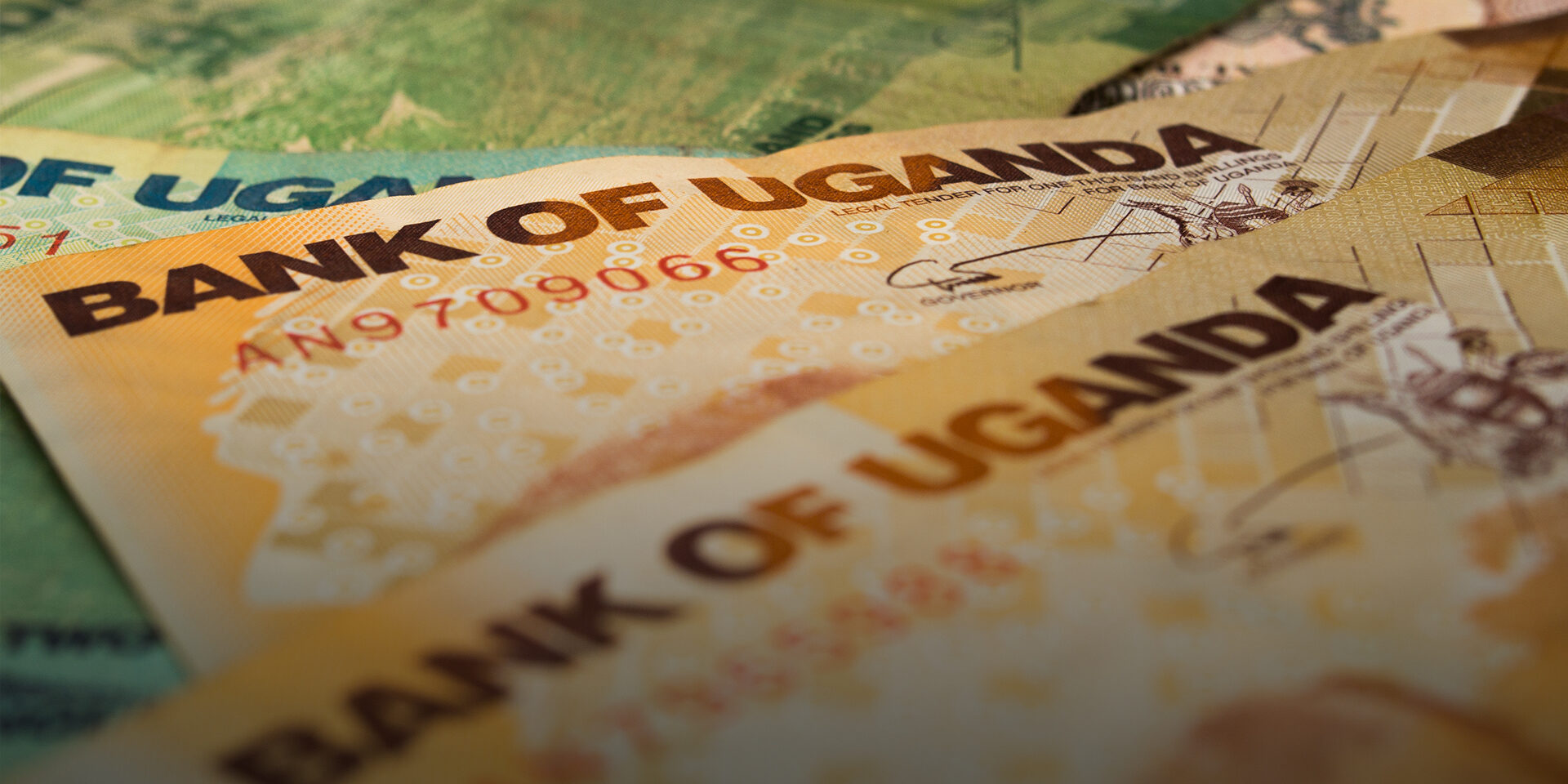 close-up shot of Ugandan shillings