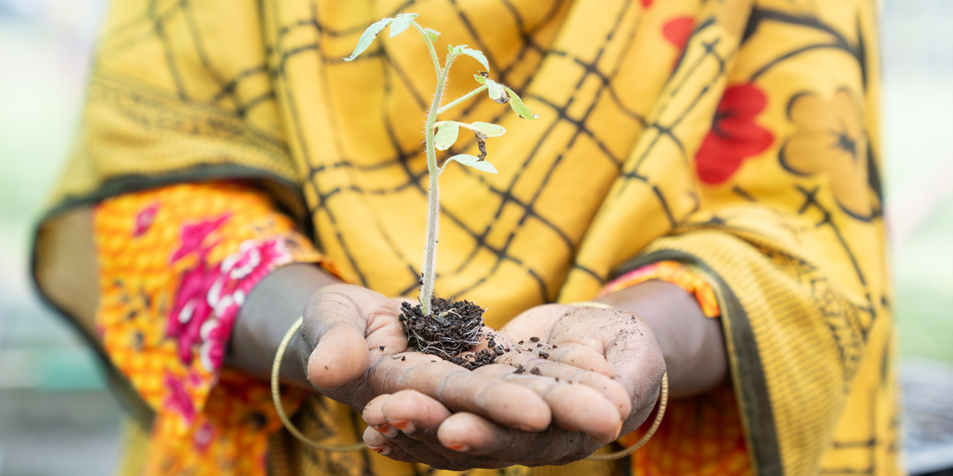Woman holds seedling in her hands.