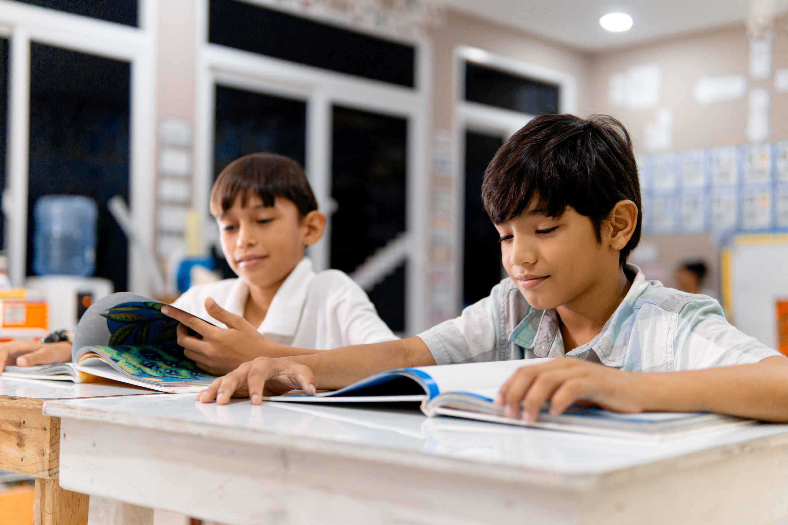 Two boys reading textbooks at a desk